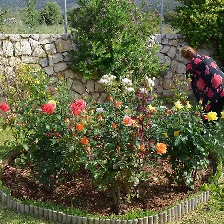 Paloma Feriehus Karavádhos