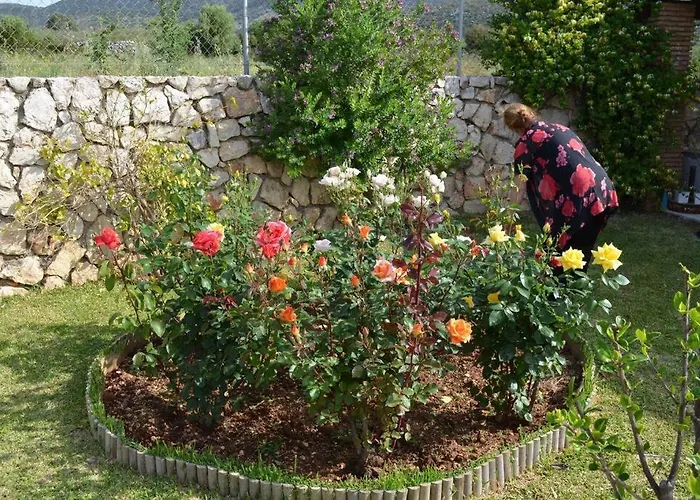 Paloma Holiday home Karavados